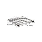 Contemporary Showerhead Combination Dual Showerhead Stainless Steel Wall-Mounted Showerhead