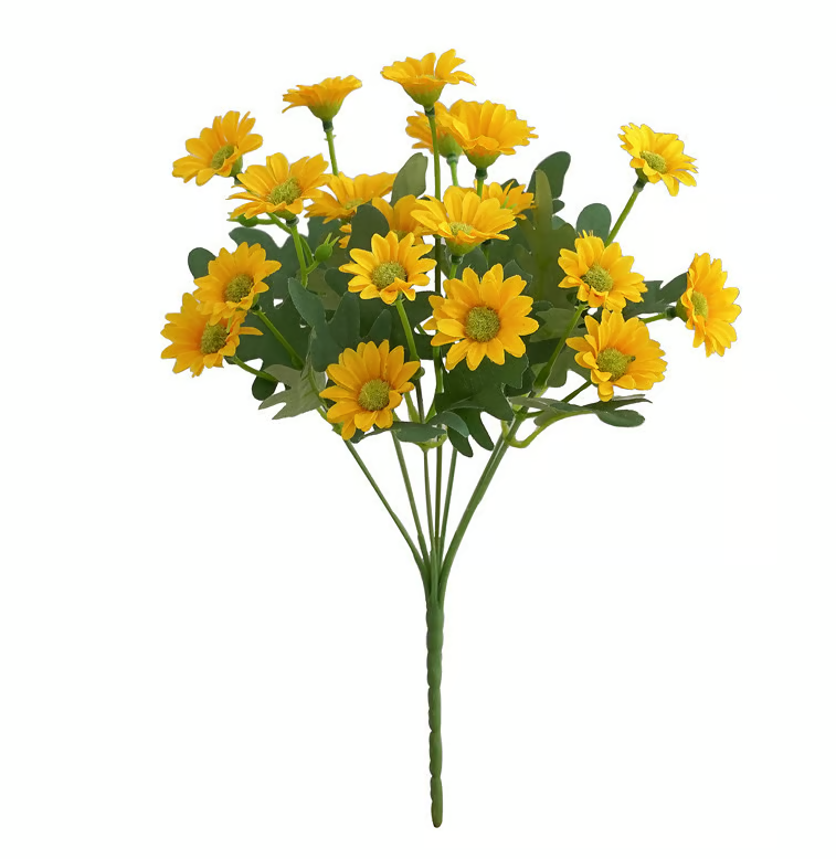 AutumnBlaze — Your worry-free garden hit with colors that enchant every autumn!