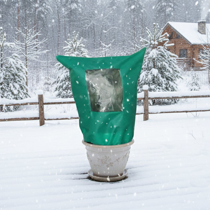 CozyPlant – Protect your plants from winter cold and help them thrive