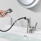 Centered Sink Faucet Contemporary Pull-Out Faucet with Single Handle Operation
