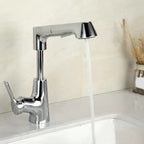 Centered Sink Faucet Contemporary Pull-Out Faucet with Single Handle Operation