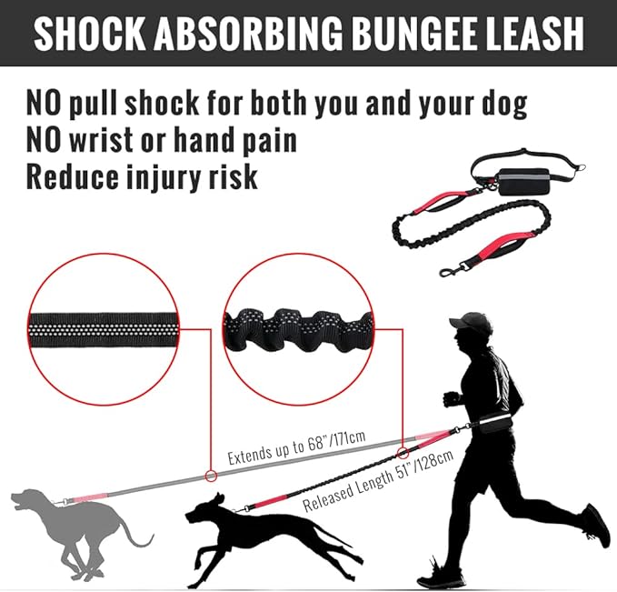 PawsFree Pro – Enjoy stress-free walks with your dog