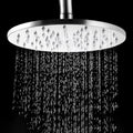 Stainless Steel Fixed Shower Head in Silver H2Okinetic Technology Shower Head