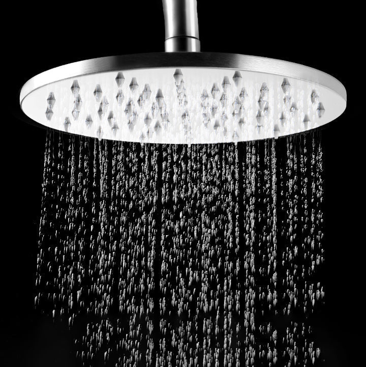Stainless Steel Fixed Shower Head in Silver H2Okinetic Technology Shower Head