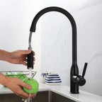 Modern Pull-down Water Filler Single Handle High Arc Kitchen Faucet