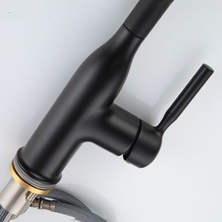 Modern Pull-down Water Filler Single Handle High Arc Kitchen Faucet