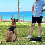 Anti Choke Dog Harness