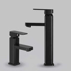 Industrial Bathroom Faucet Stainless Steel Lever Handles with Water Hose Sink Faucet