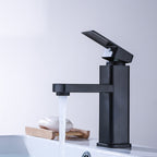 Industrial Bathroom Faucet Stainless Steel Lever Handles with Water Hose Sink Faucet