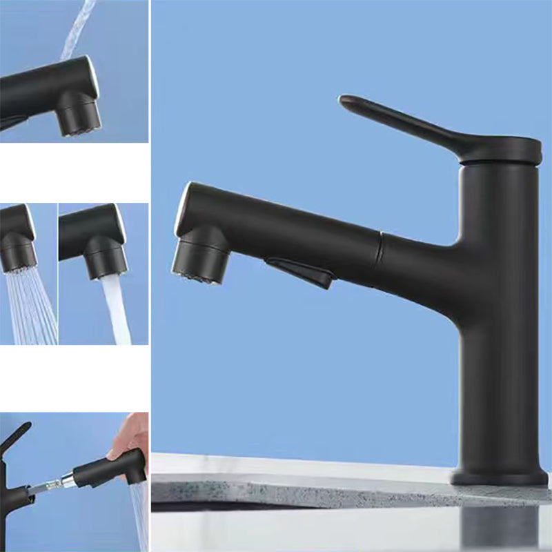 Modern Washbasin Faucet Copper 1-Handle Low Arc Pull-Out Washbasin Faucet for Bathroom