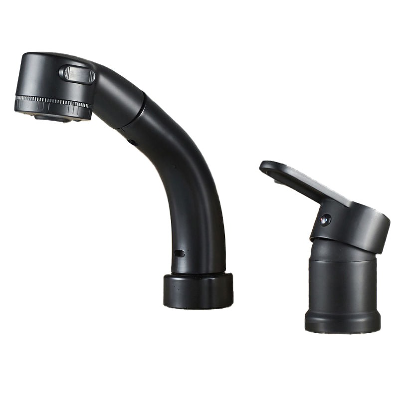 Modern Style Sink Faucet Copper Handle Low Arc Pull-Out Sink Faucet