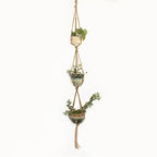 Macrame Plant Hanger Made of Cotton Rope – Stylish Suspension for Pots