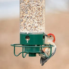 Squirrel-proof bird feeder