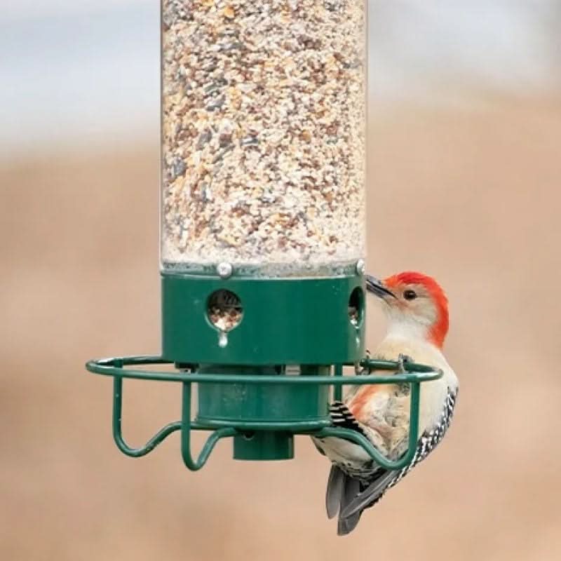 Squirrel-Proof Bird Feeder – 5lb Seed Tube with 4 Ports