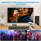 2.1 Channel Bluetooth Amplifier Board