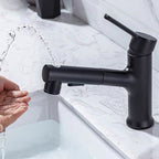 Contemporary Sink Faucet Simple Low Arc Copper Sink Faucet