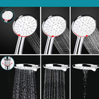 Standard Double Shower Set Round Metal Adjustable Spray Pattern Shower Head in Silver