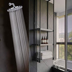 Contemporary Fest Shower Head Round Shower Head Combo in Silver