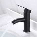 Modern Sink Faucet Stainless Steel Basin Vanity Faucet for Bathroom