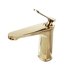 Luxury 1 Handle Sink Bathroom Faucet Round Brass Sink Faucet with Water Hose
