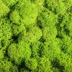 Artificial Moss for Landscaping – Moss and Flowers for Decoration and Floristry