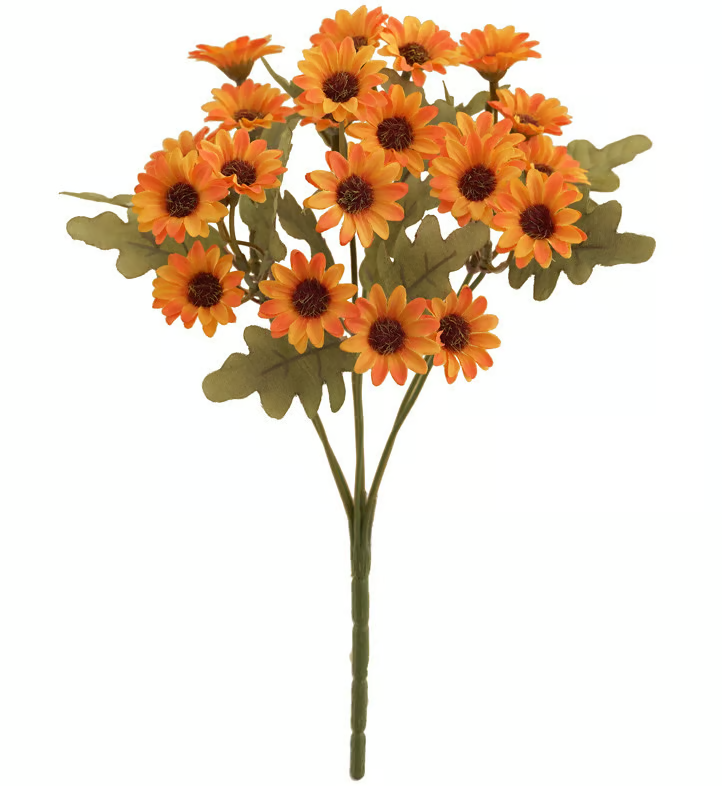 AutumnBlaze — Your worry-free garden hit with colors that enchant every autumn!
