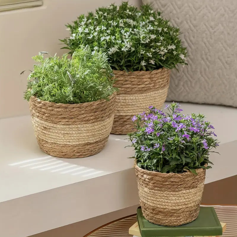 Decorative plant baskets made of seagrass in a set of 3 – Handwoven flower pots with foil insert