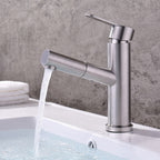 Pull-out Faucet Contemporary Single Lever Faucet with Swivel Spout