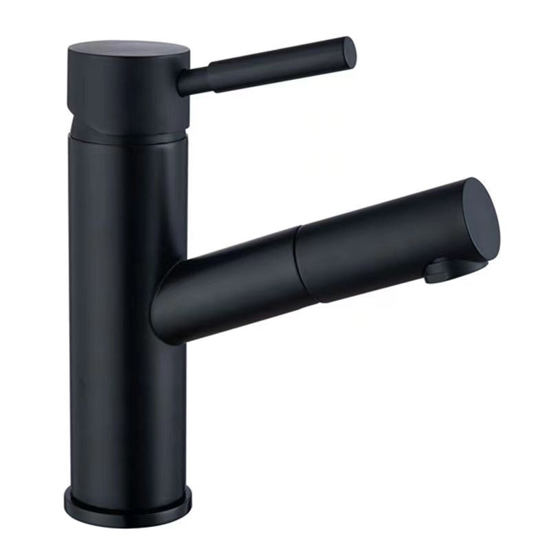 Pull-out Faucet Contemporary Single Lever Faucet with Swivel Spout