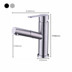 Pull-out Faucet Contemporary Single Lever Faucet with Swivel Spout