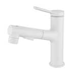 Modern Extendable Sink Faucet Bathroom Faucet Brass 1 Handle Sink Faucet with Water Hose