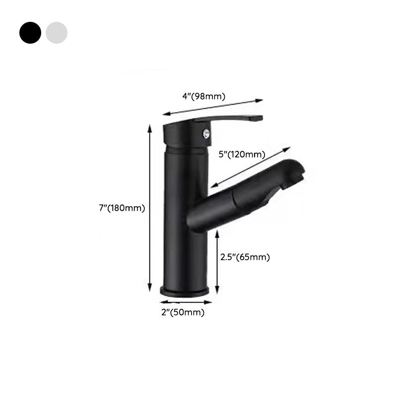 Lever handle faucet Contemporary pull-out faucet for the bathroom