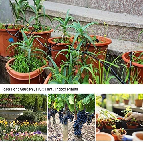 Fog-cooled Automatic Irrigation System
