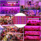 LED plant lamp with full spectrum lighting and pull switch for optimal plant growth