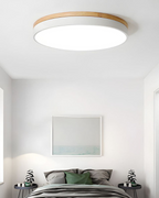 Modern Ceiling Lamp with Nature-Inspired Shape