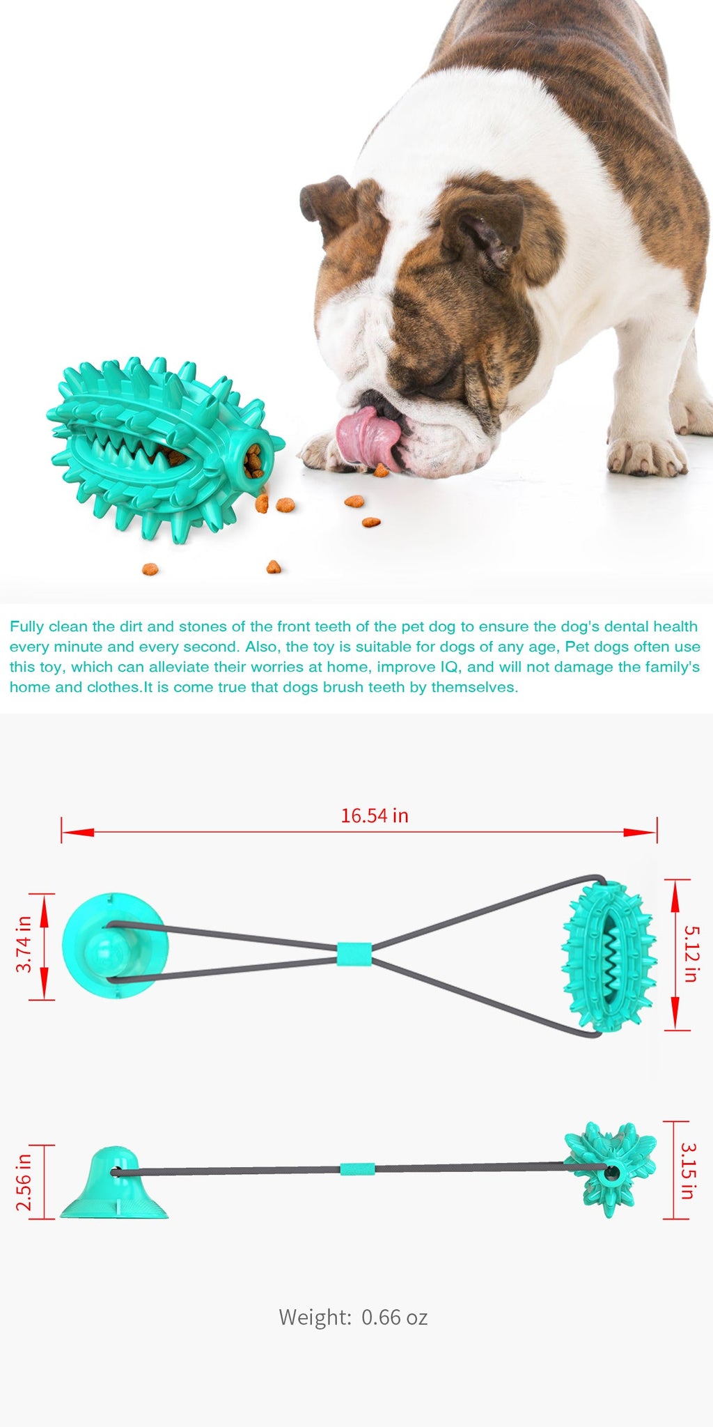 Single Suction Cup Cactus Chew Ball for Dogs