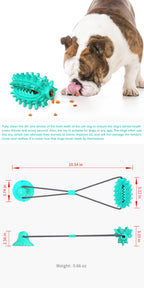 Single Suction Cup Cactus Chew Ball for Dogs