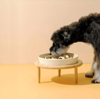 Premium Slow Feeder Bowl for Dogs & Cats