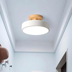 Compact Modern LED Ceiling Lamp