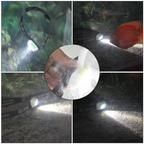 Waterproof LED Headlamp