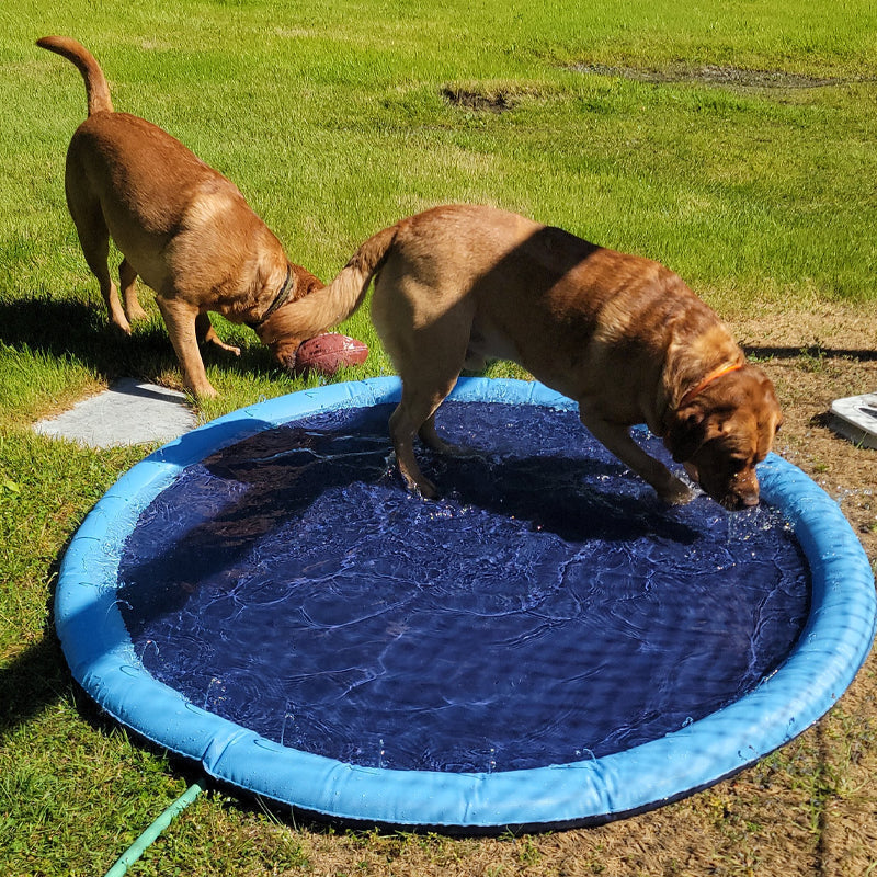 Folding Pet Bathing Pad
