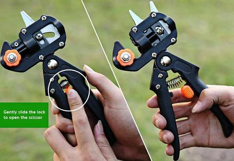 Refinement scissors for garden – Precise cutting tools for grafting and refining plants