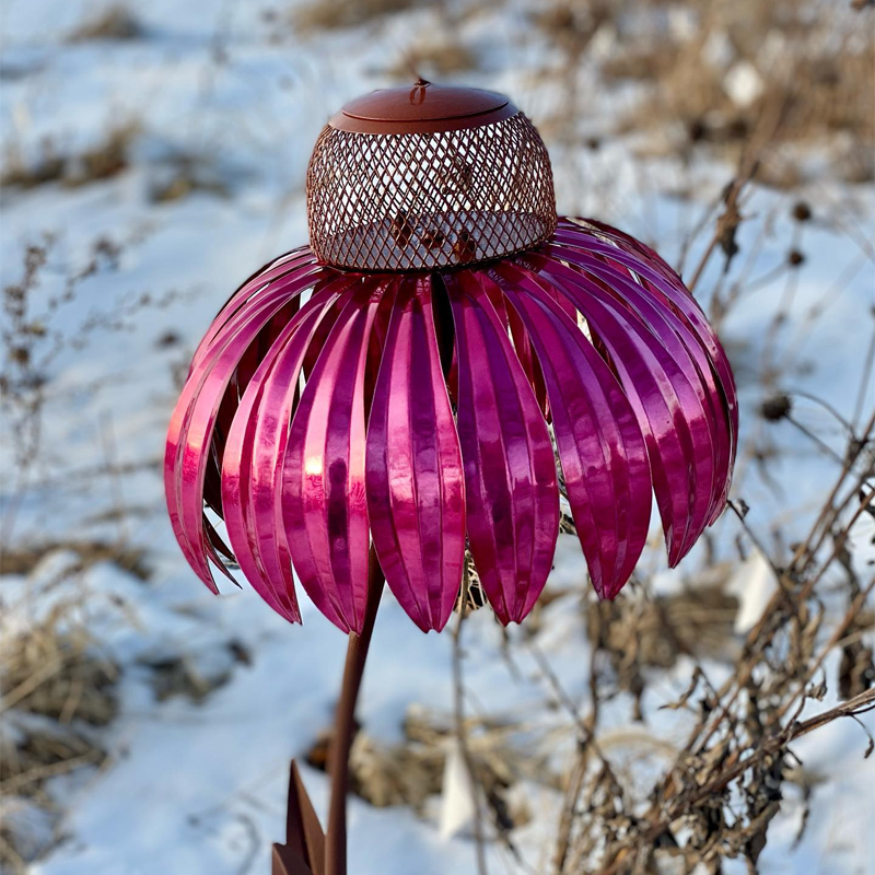 Bird Feeding Station D'éChinacéE