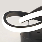 Modern Ceiling Lamp
