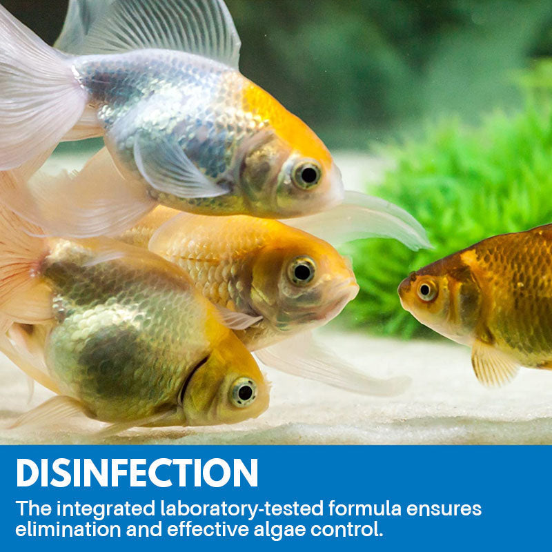 Aquarium Cleaning Powder