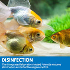 Aquarium Cleaning Powder