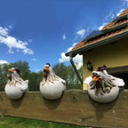 Big Eye Hen Resin Handicraft