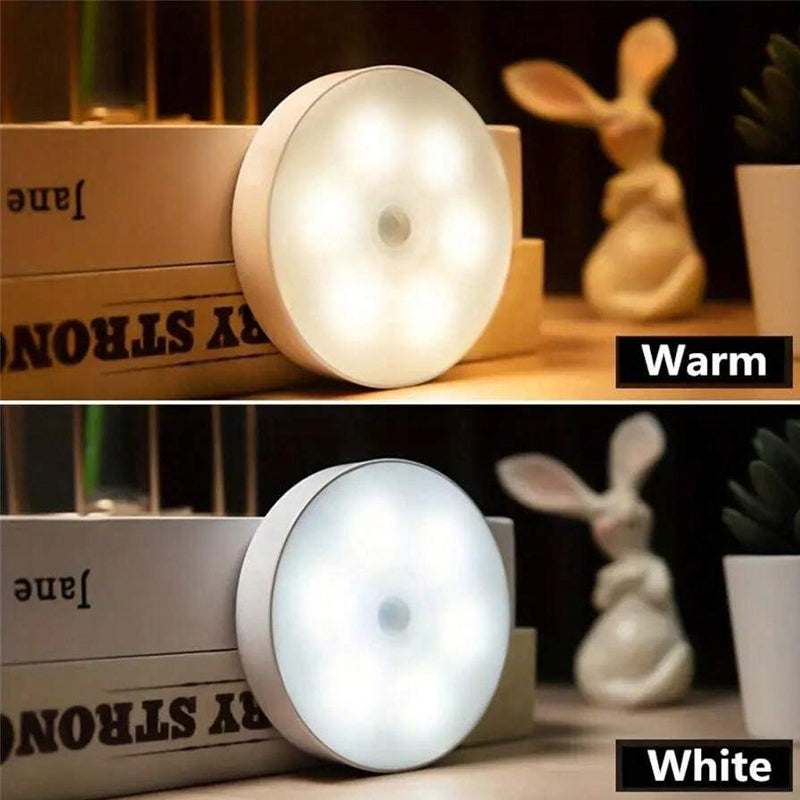 LED Intelligent Body Sensor Light