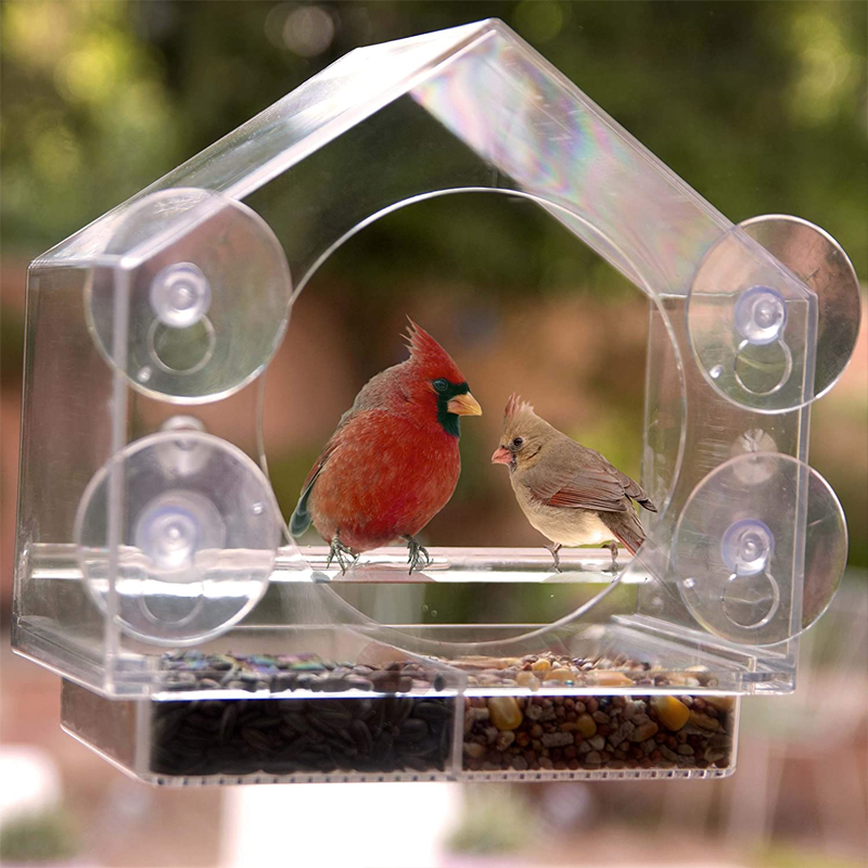 Window Bird Feeder House