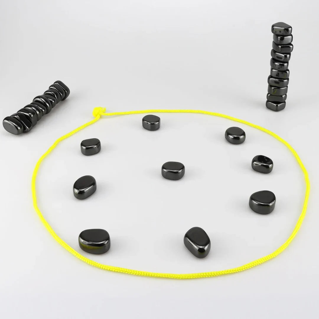 Magnet Chess Family Game